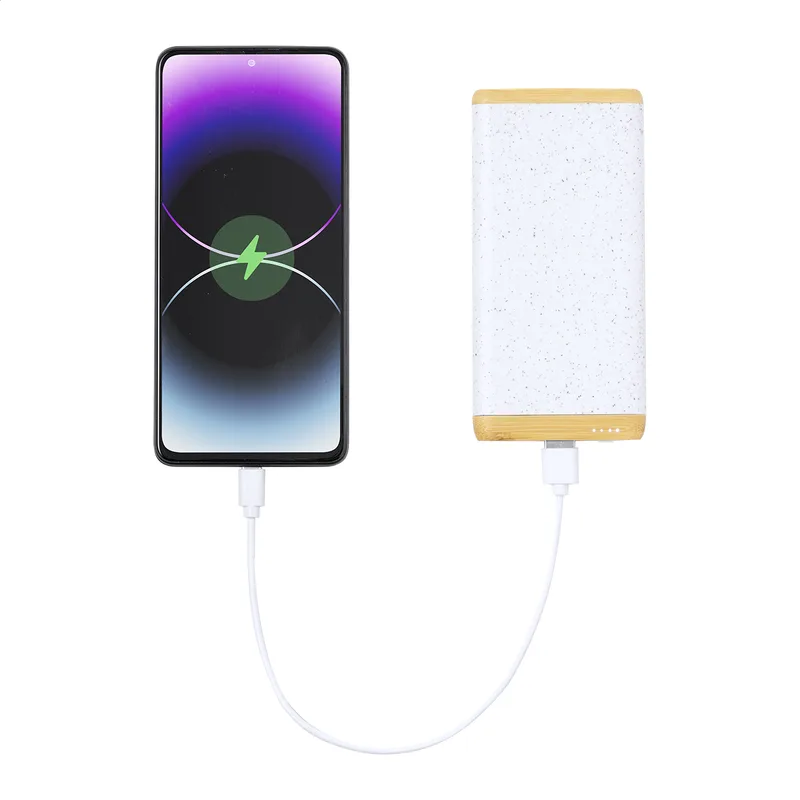 Power Bank Οικολογικό με Εκτύπωση Λογοτύπου. Λεπτομέρεια Επιφάνειας Μπαμπού — Προϊόντα Προβολής | PERFECT advertising